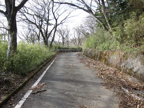 20200122hike (198)